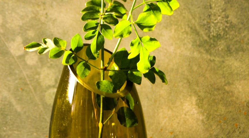 Jug/Vase Plain Eco - Upcycled Hand-Crafted: Olive