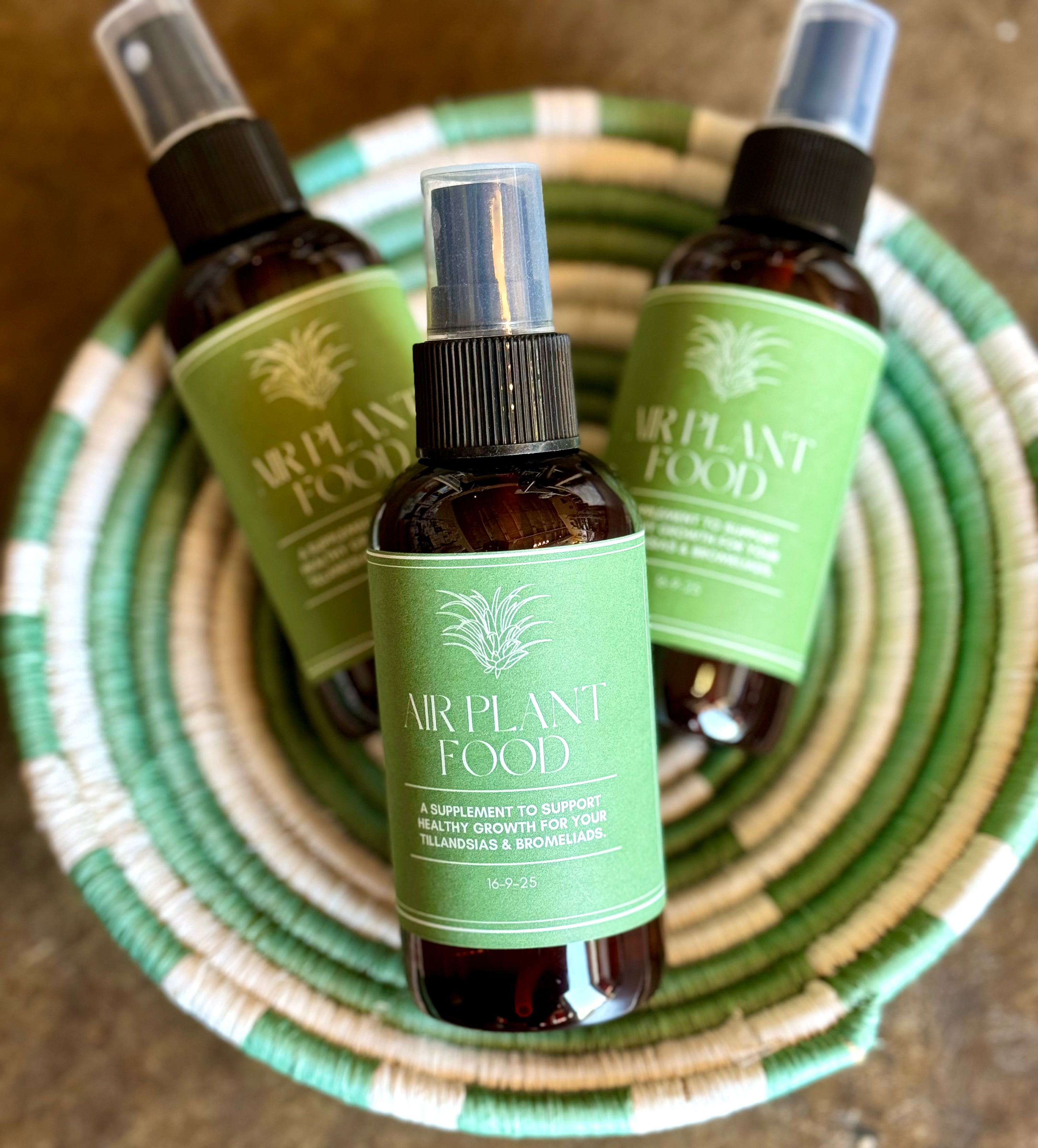 air plant spray bottle Air Plant Food Spray