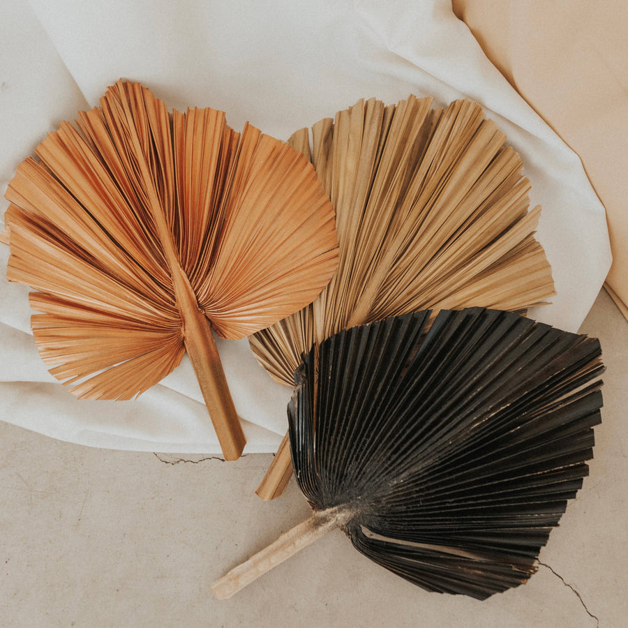 Small Sun-dried Palm Fronds