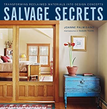 Salvage Secrets by Joanne Palmisano