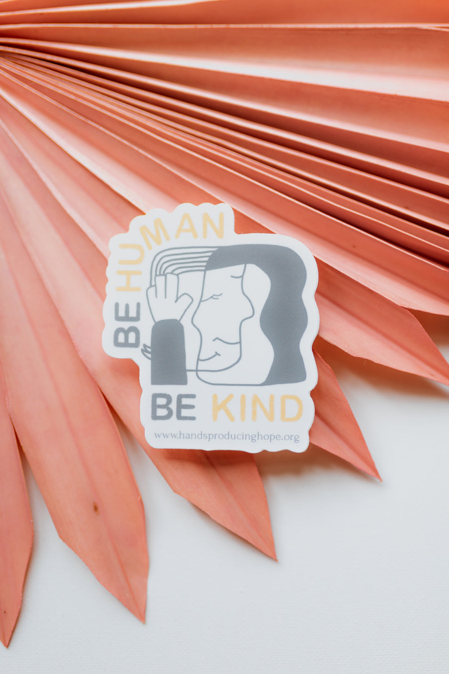 Be Human Be Kind Sticker